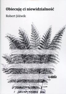 Okładka książki Obiecuję ci niewidzialność
