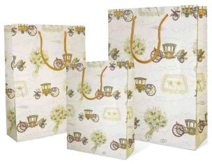 Opakowanie Torebka ozdobna BXS502029 Sposi średnia