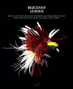 Okładka książki BEZCENNY LUKSUS ROZMOWY Z AUTORYTETAMI