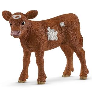 Opakowanie Cielę Texas Longhorn