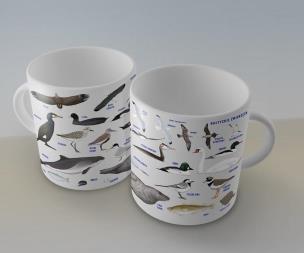 Opakowanie Kubek - Zwierzęta Bałtyku SOLITON