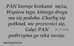 Opakowanie Magnes 42 na lodówkę - Pan kieruje krokami męża