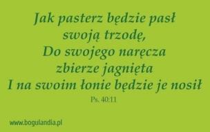 Opakowanie Magnes 45 na lodówkę - Jak pasterz będzie pasł..