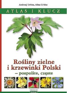Okładka książki Rośliny zielne i krzewinki Polski