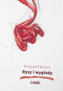 Okładka książki Rysy i wygłady