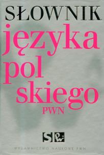 Opakowanie Słownik języka polskiego PWN z płytą CD