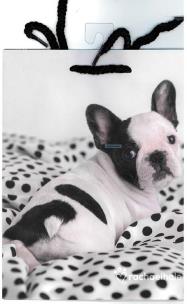 Opakowanie Torba prezentowa mała Rachael Hale STREET