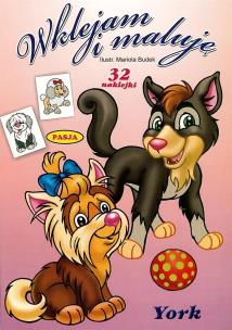 Okładka książki Wklejam i maluję - York