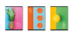 Opakowanie Zeszyt Owoce A5/32K kratka (10szt) STRIGO