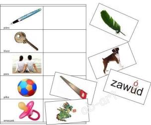 Opakowanie Dobieramy wyrazy w pary - homonimy