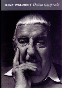 Okładka książki Dolina szarej rzeki - Jerzy Waldorff