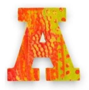 Opakowanie Drewniana literka z serii Paw - A