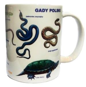 Opakowanie Kubek - Gady SOLITON