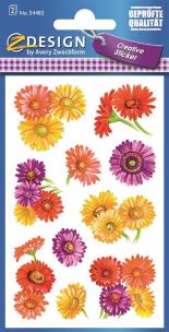 Opakowanie Naklejki z kwiatami - Margaretki