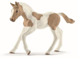 Opakowanie Źrebię rasy Paint Foal