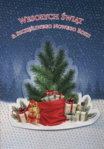 Opakowanie Karnet Boże Narodzenie 3D B6 3D-BNB 172305