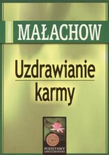 Okładka książki Uzdrawianie Karmy - Giennadij Małachow