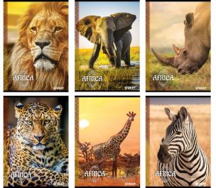 Opakowanie Zeszyt A5 w linie 54 kartki Africa 10 sztuk