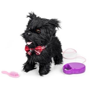 Opakowanie Chodzący Terier Szkocki