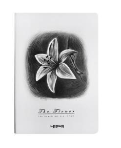 Opakowanie Notes B6/96K Lilia