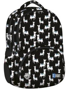 Opakowanie Plecak 4-komorowy Lamy