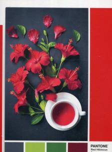 Opakowanie Puzzle 1000 Pantone Red Hibiscus Aroma