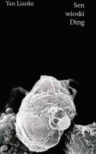 Okładka książki SEN WIOSKI DING