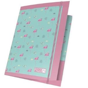 Opakowanie Teczka z gumką A4 PPLF19-109 PASO