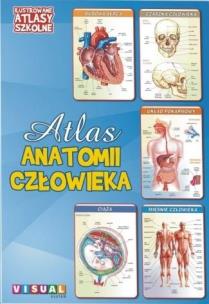 Okładka książki Ilustrowany atlas szkolny.Atlas anatomii człowieka