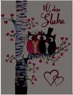 Opakowanie Karnet B6 Ślub - Sowy