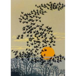 Opakowanie Karnet B6 z kopertą Aerial manoeuvres