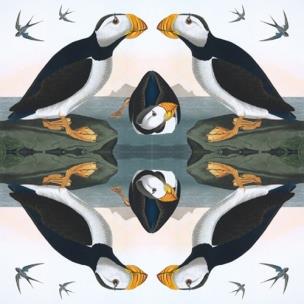 Opakowanie Karnet kwadrat z kopertą Horned Puffin