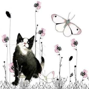 Opakowanie Karnet Swarovski kwadrat CL1202 Kot i motyl