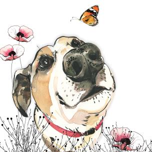 Opakowanie Karnet Swarovski kwadrat CL1209 Pies i motyl