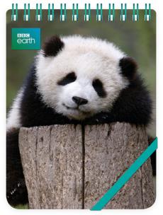 Opakowanie Kołonotes ozdobny Giant Panda Baby
