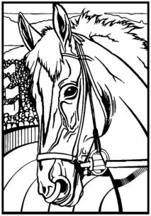 Opakowanie Kolorowanka Welwetowa 29,7x21 Koń Profil