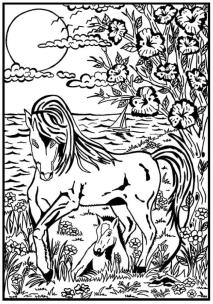 Opakowanie Kolorowanka Welwetowa 29,7x21 Konie