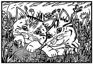 Opakowanie Kolorowanka Welwetowa 29,7x21 Koty