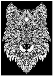 Opakowanie Kolorowanka Welwetowa 29,7x21 Lupus