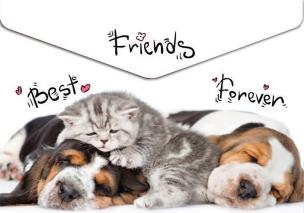 Opakowanie Koperta A4 na napę z nadrukiem Animals