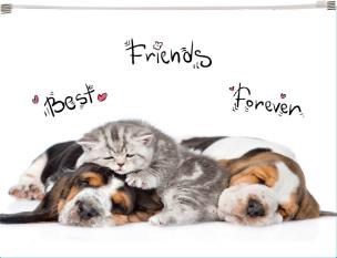 Opakowanie Koperta z nadrukiem zip A4 PP Animals