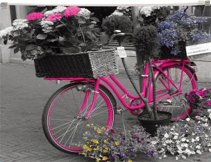 Opakowanie Koperta z nadrukiem zip A4 PP Bike