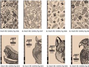 Opakowanie Notatnik ozdobny 143x215/120K kratka FRESH