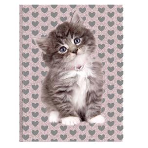 Opakowanie Pamiętnik Rachael Hale RLD-3660 PASO