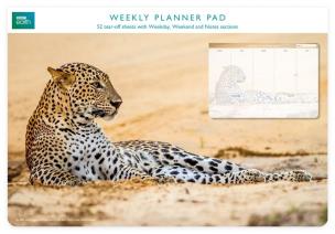 Opakowanie Planer tygodniowy Leopard in sand