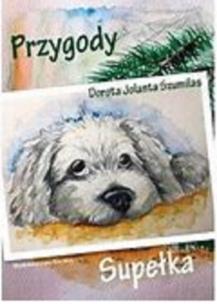 Okładka książki Przygody Supełka