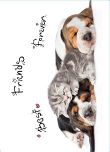 Opakowanie Segregator A4 PP z nadrukiem Animals