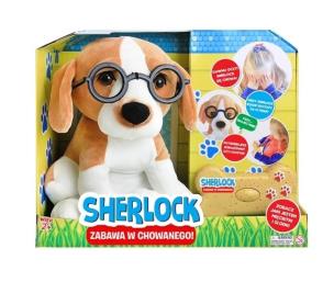 Opakowanie Sherlock zabawa w chowanego