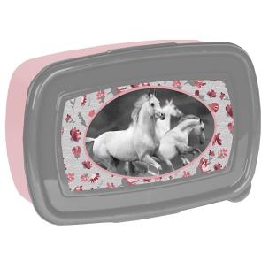 Opakowanie Śniadaniówka Horse PP19HS-3022 PASO