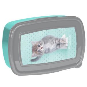 Opakowanie Śniadaniówka Rachael Hale RLC-3022 PASO